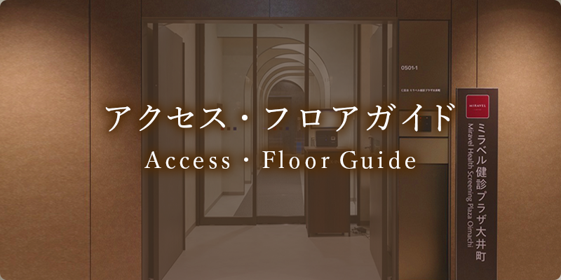 アクセス　フロアガイド